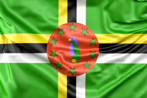 flag dominica - 2