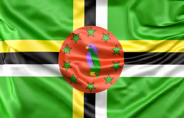 flag dominica - 18