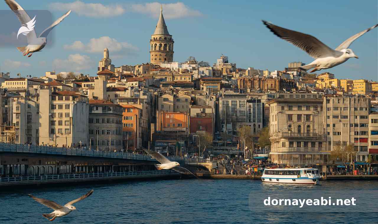 بهترین شغل در ترکیه برای ایرانیان