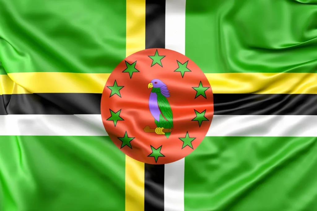 flag dominica - 1