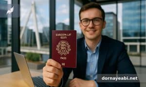 مزایای استارتاپ ویزای استونی